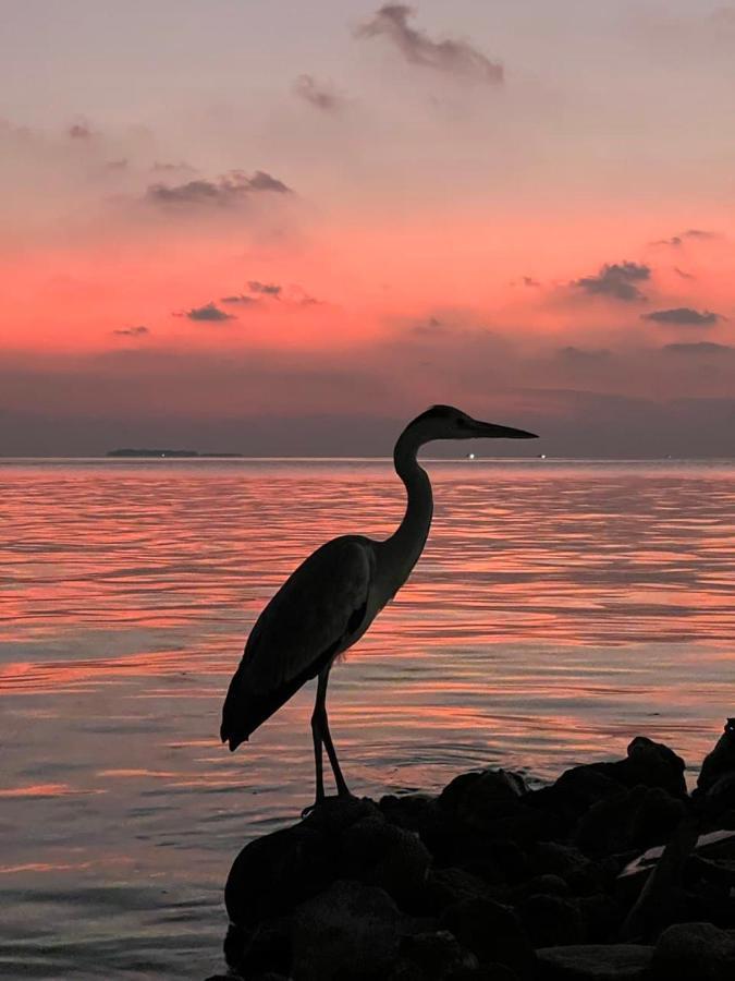 Raalhu Dhangethi Bed & Breakfast Екстериор снимка